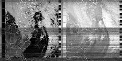 accurate black-and-white satellite imagery collected by Raina and her team