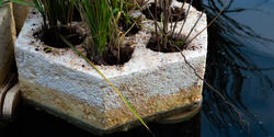 An image of a biopod, which is a structure in water for wetland vegetation