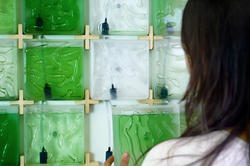 Grad student Hyunseok An MID 20 introduces an easy-to-use micro-algae farming kit