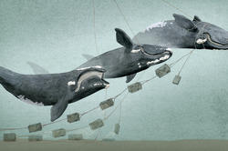 Whale painting by Illustration faculty member Joe McKendry 94 IL