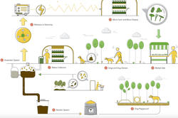 The DoGreen Project speculative design for 2020 Biodesign Challenge