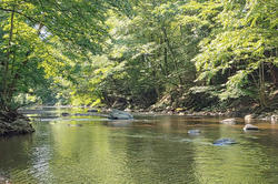 Photograph of a stream by Associate Professor Jennifer Prewitt-Freilino