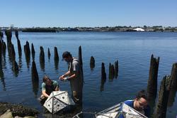 Students constructing concrete polygons and submerging them into a river.