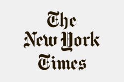 New York Times logo for article about Julie Mehretu
