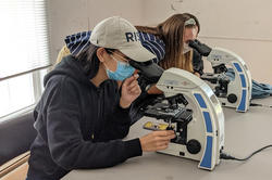 students peer through microscopes