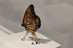 imaginary half-butterfly half-deer creature