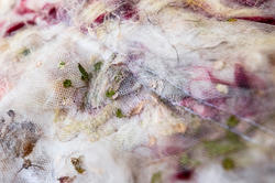 detail of felted garment in progress