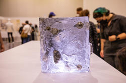 glass block containing imprints of Colorado trees lost in recent wildfires