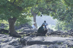 students sketching under tropical trees