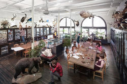 students at work in the Nature Lab