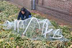 Dorner Prize winner Claudia Peck works on outdoor garden installation