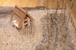 model of a shelter designed using nature-inspired design principles