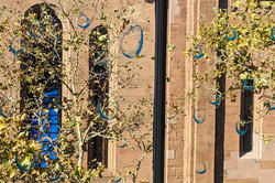 RISD's College Building seen through a transparent raindrops print