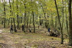 students forest for mushrooms in the very green Lincoln Woods