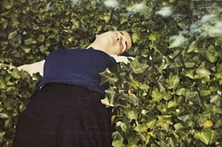 a student lies in a field of green leaves