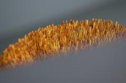 detail of sculpture incorporating tiny points of light
