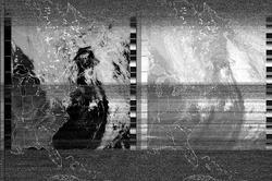 accurate black-and-white satellite imagery collected by Raina and her team