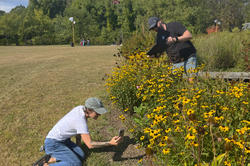 Johanna Barthmaier-Payne scans yellow flowers for new platform