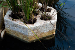 An image of a biopod, which is a structure in water for wetland vegetation