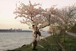 a woman climbs a tree overlooking the sea with pink blossoms
