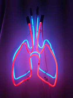 a lit neon sculpture of a human respiratory system by Glass alum Anya Petit
