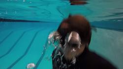 a person underwater participating in a student project by Glass graduate alum Felicia LeRoy