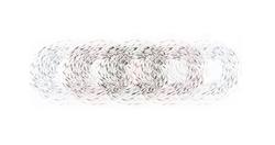 Student work Dongning Huang, MLA 2018. Art print of circles of swimming fish overlapping.