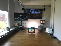 Student work Hanul, Kim MFA 2018. Brightly lit room filled with monitors and screens displaying various images of nature or architecture.
