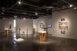a wide-angle view of artworks staged inside a gallery