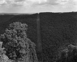 black and white image of a mountain face covered by trees, with a long path climbing up its center, another tree in the foreground