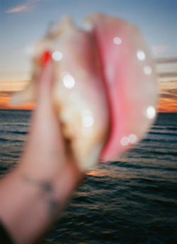 a blurred hand holds a blurred white and pink conch shell against a clear ocean background at sunset