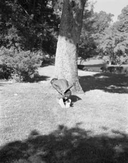 a young Black man kneels in front of a tree in black-and-white photograph