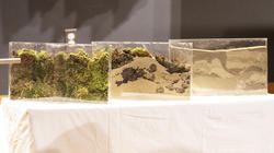 samples of sand and moss collected on-site and displayed in final Hyundai 2023 critiques