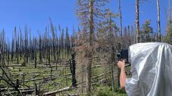 Spencer Mobbs photographs fire-devastated landscape in his home state