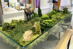 A terrarium filled with dirt, and a landscape with a toy moose