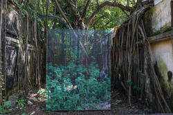 LED dsiplay of plant life in the middle of urban overgrowth.