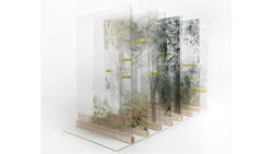 Student work by Landscape Architecture graduate student Erqi Meng of a layered glass and wood display of a scene with trees and greenery.