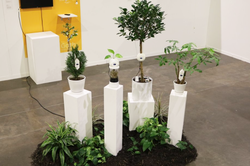 four white pillars, each sprouting green plant life, sitting atop a grass-and-turf surface in a white studio space