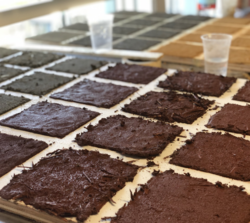 grid of various clay samples
