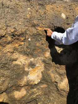 an outstretched arm points toward a mass of gray-brown clay on the ground