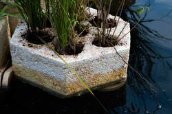 a hexagonal honeycomb structure sprouting greenery floats in a body of water