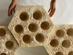 a pair of hands reaching toward a conjoined set of hexagonal honeycomb structures