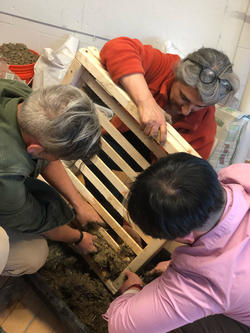 three people pack dirt onto a wooden frame with several horizontal beams connecting the frame